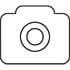 iPad Camera achterkant reparatie Goeree-Overflakkee