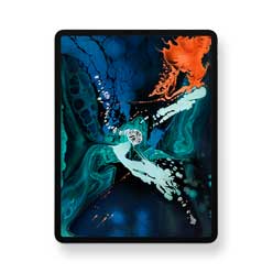 iPad Pro 12,9 inch (2018) Software herstel