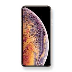 iPhone Xs Max Software herstel